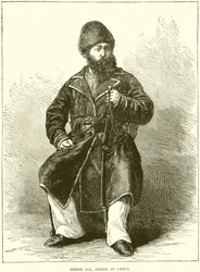 Shere Ali, Ameer van Cabul