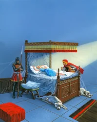 Doornroosje