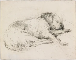 Slapende hond