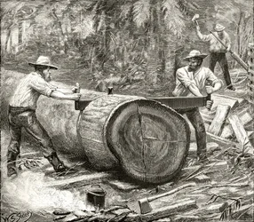 Houtsplijters in de Bush, ca. 1880, uit 