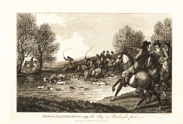 Hertenjagers en honden jagen op een kalf in de Epping Easter Hunt