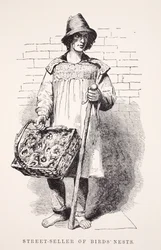 Straatverkoper van vogelnesten, illustratie uit London Labour and London Poor door Henry Mayhew, pub. 1862