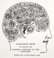 Symbolisch hoofd