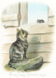 Cyperse Kat kijkt naar Muis