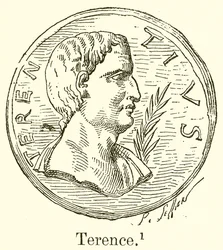 Terentius