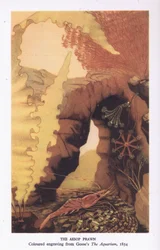 De Aesop Garnaal, kleuren gravure uit Gosse