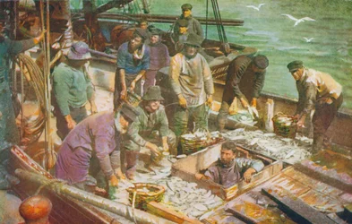 De Aankomst van een Noordzee Vissersboot, Het Vangen van de Vis