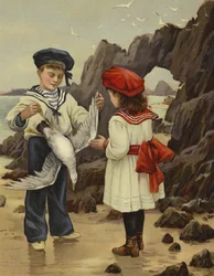 De Dode Zeemeeuw