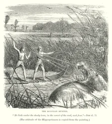 De Egyptische Jager (gravure)