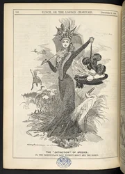 De "Uitsterving" van Soorten; Of, de modeplaatdame zonder genade en de reigers, uit 