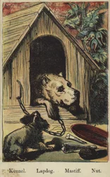 Het Boerderij Alfabet