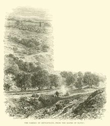 De Hof van Getsemane, vanaf de hellingen van Olivet