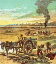 De grote plaag