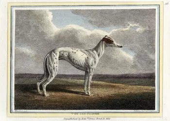 De Greyhound, pub. 1812