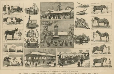 De Londense Internationale Landbouwtentoonstelling in Kilburn, juli 1879