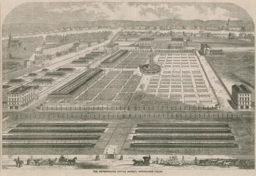 De Metropolitaan Veemarkt, Kopenhagen Velden, Londen