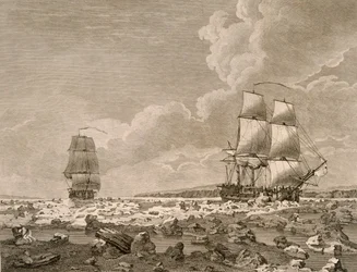 Het racepaard en karkas die door het ijs breken, 10 augustus 1773, uit A Voyage Towards the North Pole Undertaken by His Majesty