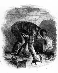 De Rattenvangers van de Riolen, illustratie uit 