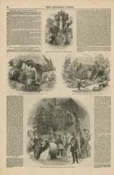 De Koninklijke Botanische Tuinen