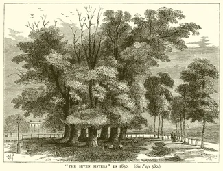 De Zeven Zusters in 1830