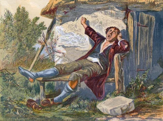 De Luiaard
