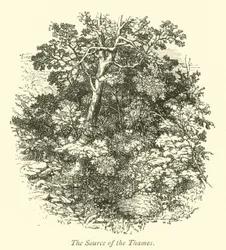 De bron van de Theems