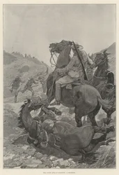 De Zuid-Afrikaanse kwestie, een schermutseling