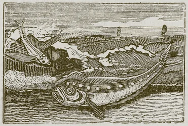 Het konijntje en de dolfijn (gravure)