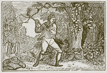 Het bos en de clown (gravure)