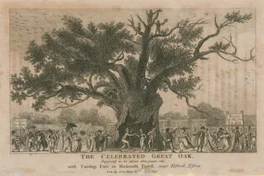 De beroemde Grote Eik, verondersteld meer dan 1800 jaar oud te zijn