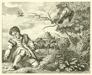De duif en de mier