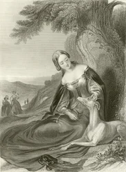 De vriend van mijn jeugd