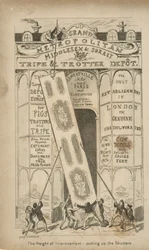 Het toppunt van verbetering