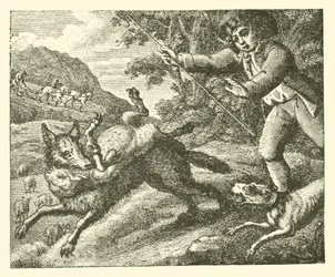 De herdersjongen (gravure)