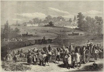 De wijnoogst in Medoc