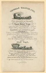 Thomas Haines. Advertentie