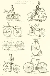 Driewieler. Vroege vormen van fiets