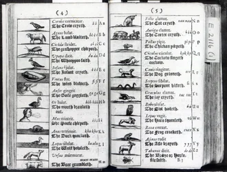Twee pagina