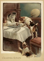 Onuitgenodigde gasten