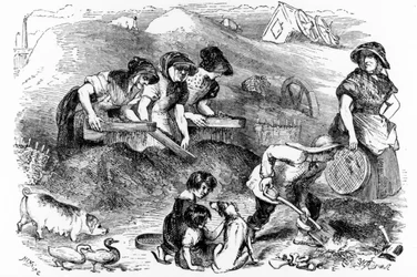 Uitzicht op een stofwerf, illustratie uit 