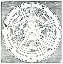Vitruviaanse figuur, uit 