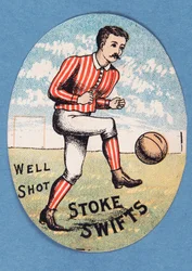 Goed Geschoten Stoke Swifts
