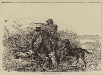 Wilde Eenden Jagen in Norfolk