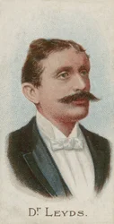 Willem Johannes Leyds, Nederlandse advocaat en staatsman