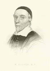 William Harvey