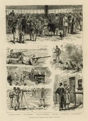 Wimbledon Schietwedstrijd