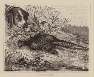 "Met mijn complimenten" (gravure)