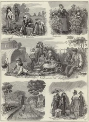 Met de fruitplukkers