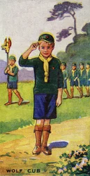 Wolf Cub, 1923