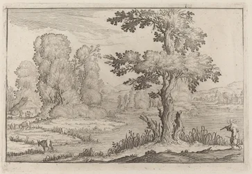 Herder en koeien die een rivier oversteken